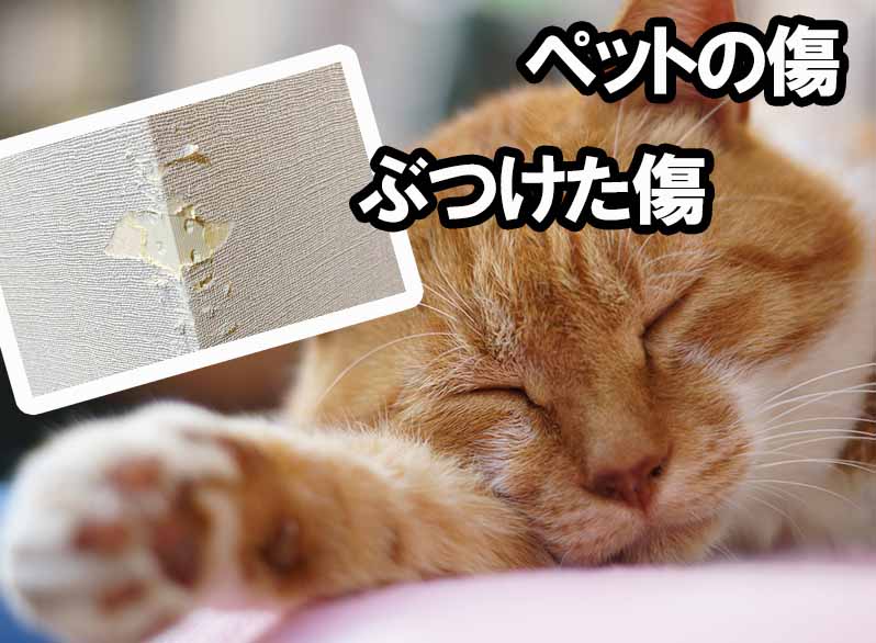 壁紙引っ掻き傷修理